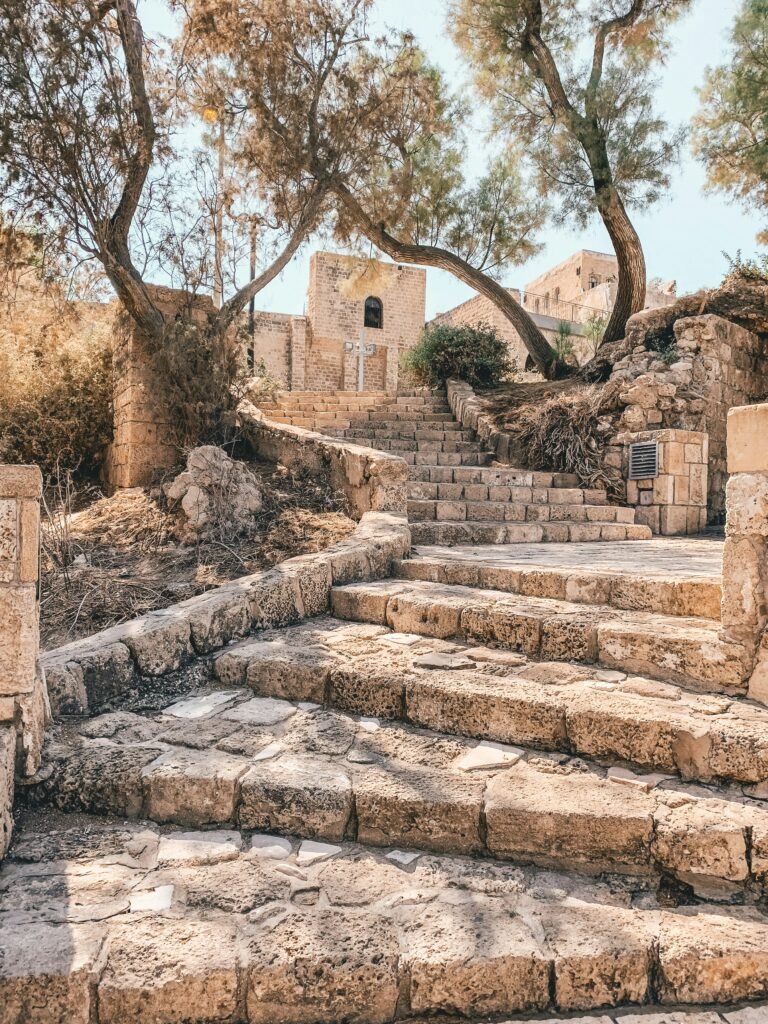 Egipto y Jordania